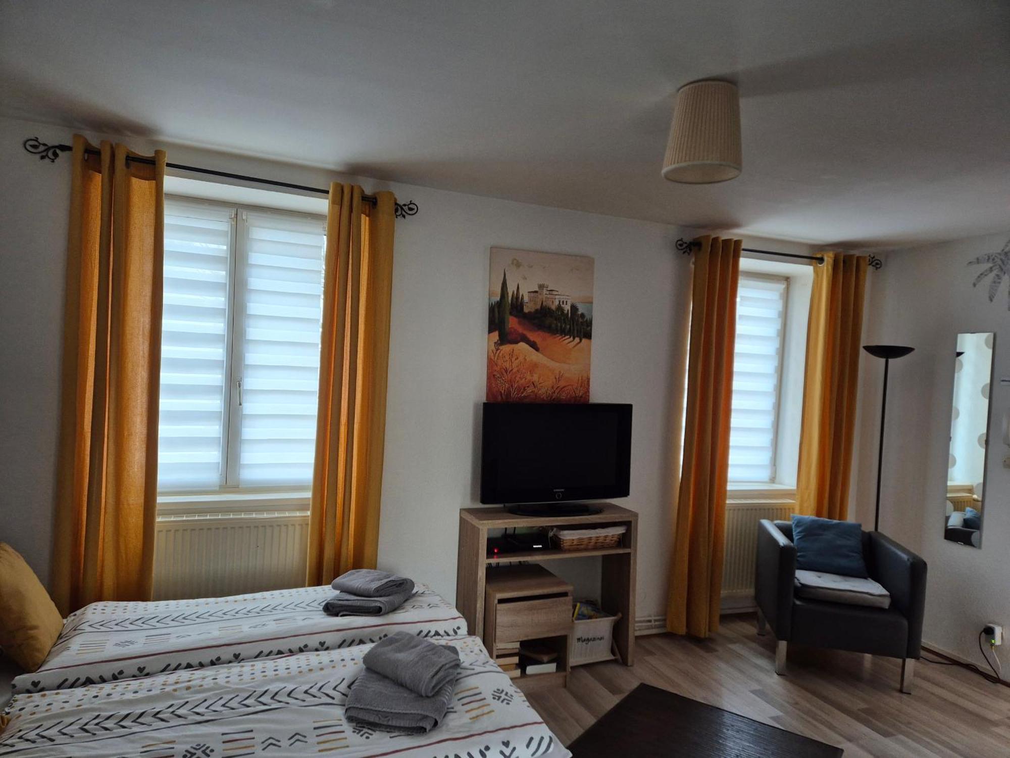 1 Rue Des Romains Studio Meuble Clauss Niederbronn-les-Bains Luaran gambar